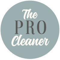 The Professional Cleaner logo - Similar company to Project 2 Payment