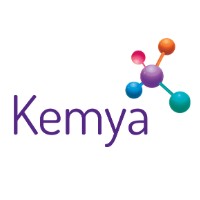 KEMYA GROUP logo - Similar company to Openspace On Demand