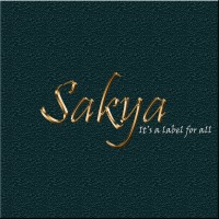 SAKYA logo - Similar company to Viva Sistemas