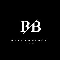 BlackBridge Capital logo - Similar company to Blackbridge Capital, Llc