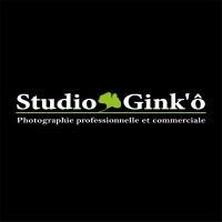 Studio Gink'ô - Photographie professionnelle et commerciale logo - Similar company to (Re)Lancez-Vous Avec Wezew