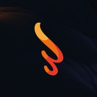 BSM - Sport Management logo - Similar company to Acta Fintech
