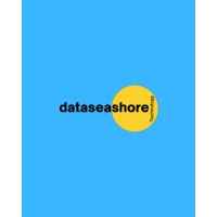 Dataseashore Technology logo - Similar company to Inizio Educational Services