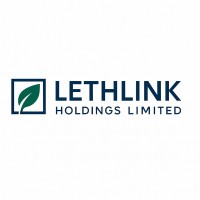 LETHLINK HOLDINGS LIMITED logo - Similar company to Lolwe Ai & Robotics Studio