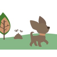 Scoop The Poop NWA, LLC logo - Similar company to Beyond Marketing, Llc