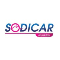 Sodicar logo - Similar company to Digeq