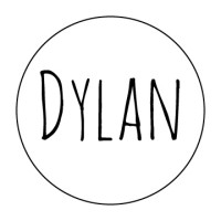 Dylan Consulting logo - Similar company to Dylan Consulting