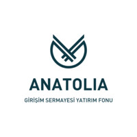 Anatolia GSYF logo - Similar company to Coding Space