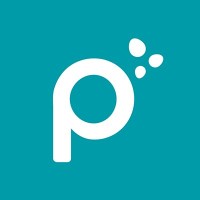 Pecan Expense logo - Similar company to Wirebloom