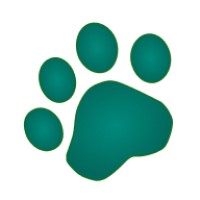 Snappit logo - Similar company to Filter Ai