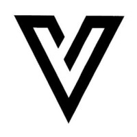 Vici Athletics logo - Similar company to Fsa Workouts