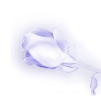 Silver Rose Entertainment logo - Similar company to Imagine Talent