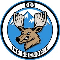 BDS IAE Grenoble logo - Similar company to Dd Du Pwatoo