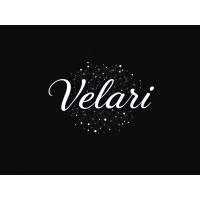 Velari Consulting logo - Similar company to Velari Protocol