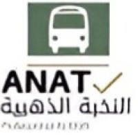 Al Nukhba Al Thahbia Transport LLC logo - Similar company to A2B Logistics