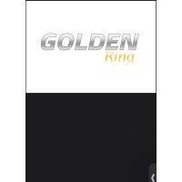 Golden Ring logo - Similar company to Glass Jacobson Wealth Advisors