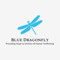 Blue Dragonfly logo - Similar company to Blue Dragonfly, Llc