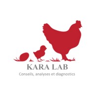 KARA LAB logo - Similar company to Integrated Genomics Operation