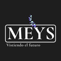 MEYS logo - Similar company to Top Mountain Sarl