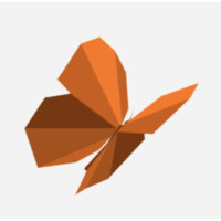 Common Practice Sustainability Advisors logo - Similar company to Climate Action Now