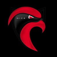Nice Côte d'Azur Handball logo - Similar company to B Concept Properties