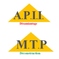 APII - MTP logo - Similar company to Phase Quatre