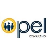 Opel Consulting Pvt ltd logo - Similar company to Aitium Ai