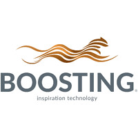 BOOSTING INSPIRATION logo - Similar company to Tramas E Texturas