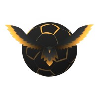 TEAM PROMETHEUS VIT logo - Similar company to Team Orcus