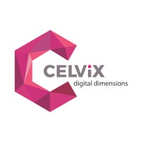 Celvix IT Service Inc logo - Similar company to Rajarshi Solutions