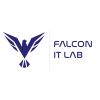 Falcon IT Lab logo - Similar company to Elightlabs
