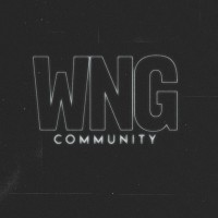WNG Community logo - Similar company to Fixnet