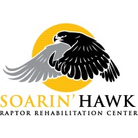 Soarin Hawk Raptor Rehabilitation Inc