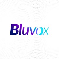 Bluvox Marketing logo - Similar company to Papoco Ideas