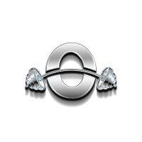 O-Strong Fitness logo - Similar company to Bodhimetrics Llc