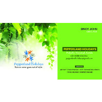 Pepperland Holidays logo - Similar company to Tedeccs