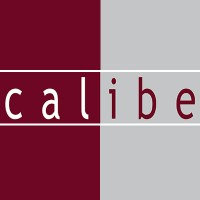CALIBE S.R.L. logo - Similar company to Meg Trading