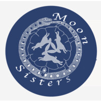 MoonSisters logo - Similar company to Zuid.Nl | Amsterdam-Zuid _ News & Networking