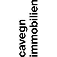 Cavegn Immobilien logo - Similar company to Bluemilk Studio Gmbh