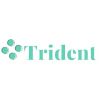 Trident IT Group logo - Similar company to Trident It