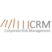 Corporate Risk Management (Crm)