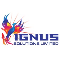 IGNUS SOLUTIONS LIMITED logo - Similar company to Ignus