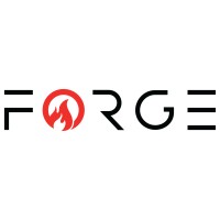Forge Solutions, LLC logo - Similar company to Ace Technology Group