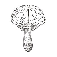 The Brainfood Mushroom Company Inc. logo - Similar company to Twentytwo