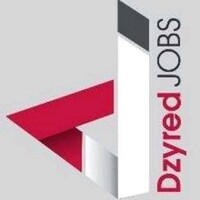 Dzyred Jobs Consulting logo - Similar company to Spg Infrastructure