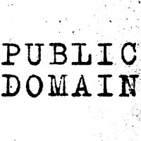 Public Domain, Inc. logo - Similar company to Spring Academy