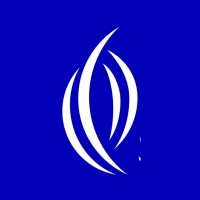 State Voices logo - Similar company to The Democracy Collaborative