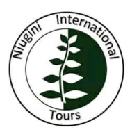 Niugini International Tours logo - Similar company to Nightwind Future Industries Limited