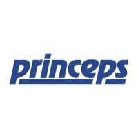 PRINCEPS S.R.L logo - Similar company to Prynceps