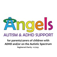 Angels Support Group logo - Similar company to The Sele School